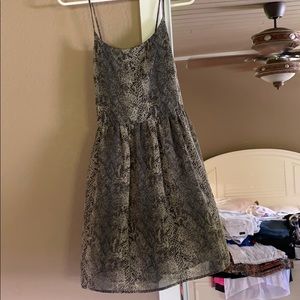 Snake print short dress